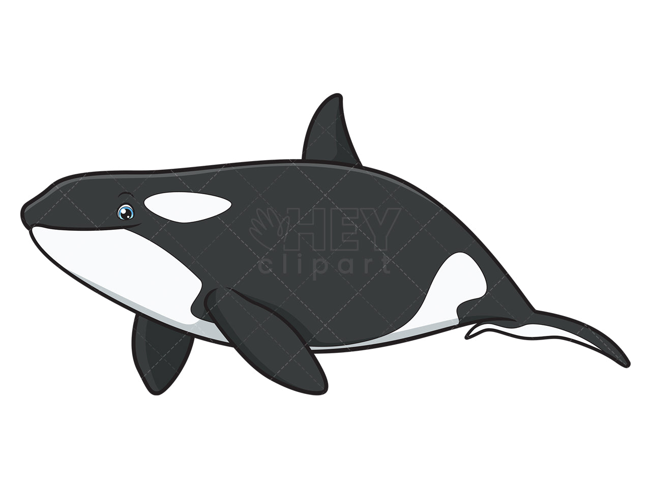 Royalty-free stock vector illustration of a killer whale.