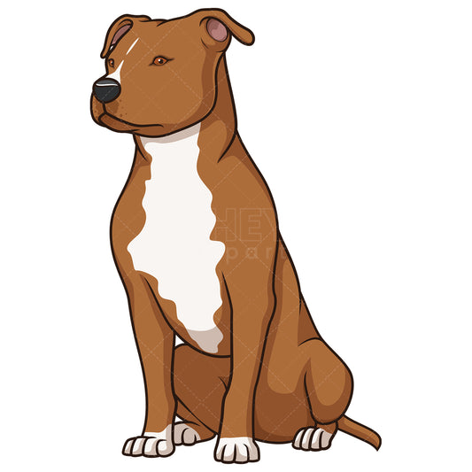 Royalty-free stock vector illustration of an obedient american staffordshire terrier sitting.