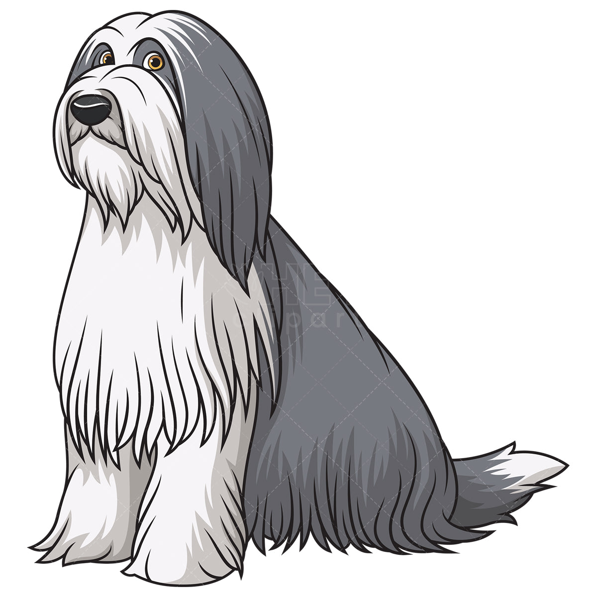 Royalty-free stock vector illustration of an obedient bearded collie sitting.