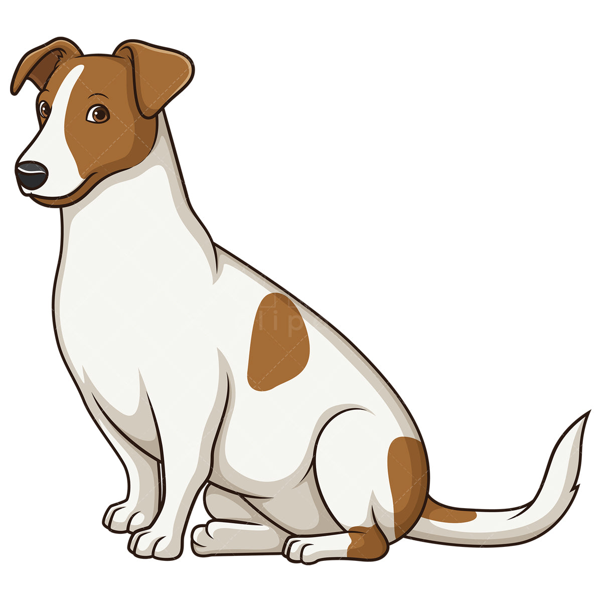 Royalty-free stock vector illustration of an obedient jack russell dog sitting.