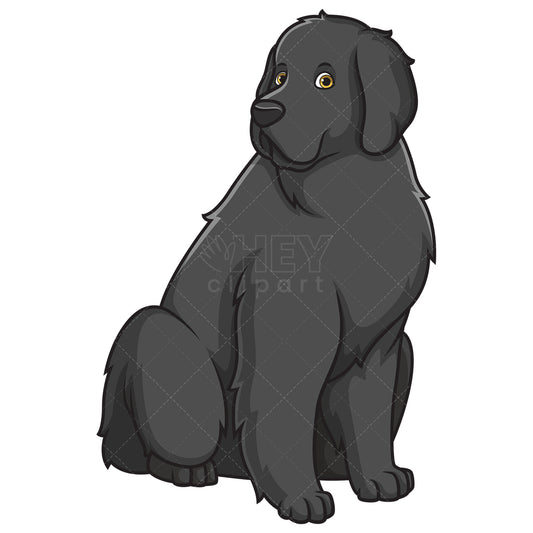 Royalty-free stock vector illustration of an black newfoundland dog sitting.