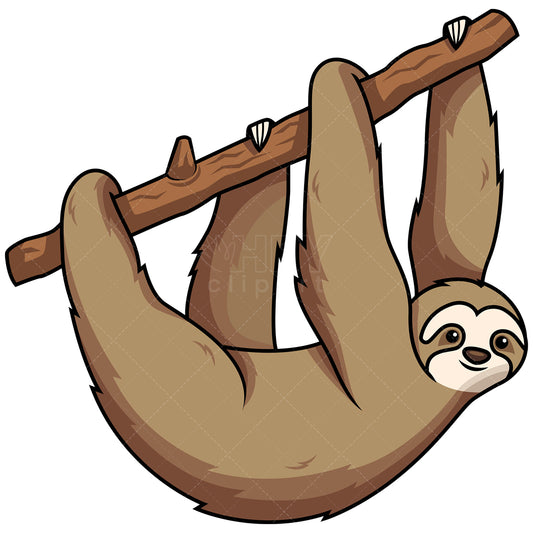 Royalty-free stock vector illustration of a cute sloth hanging from tree branch.