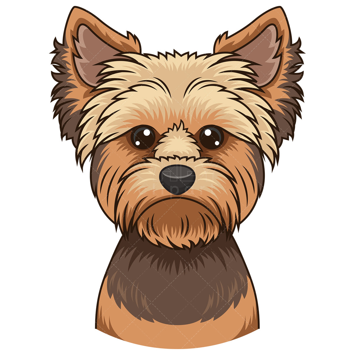 Royalty-free stock vector illustration of a yorkie face.