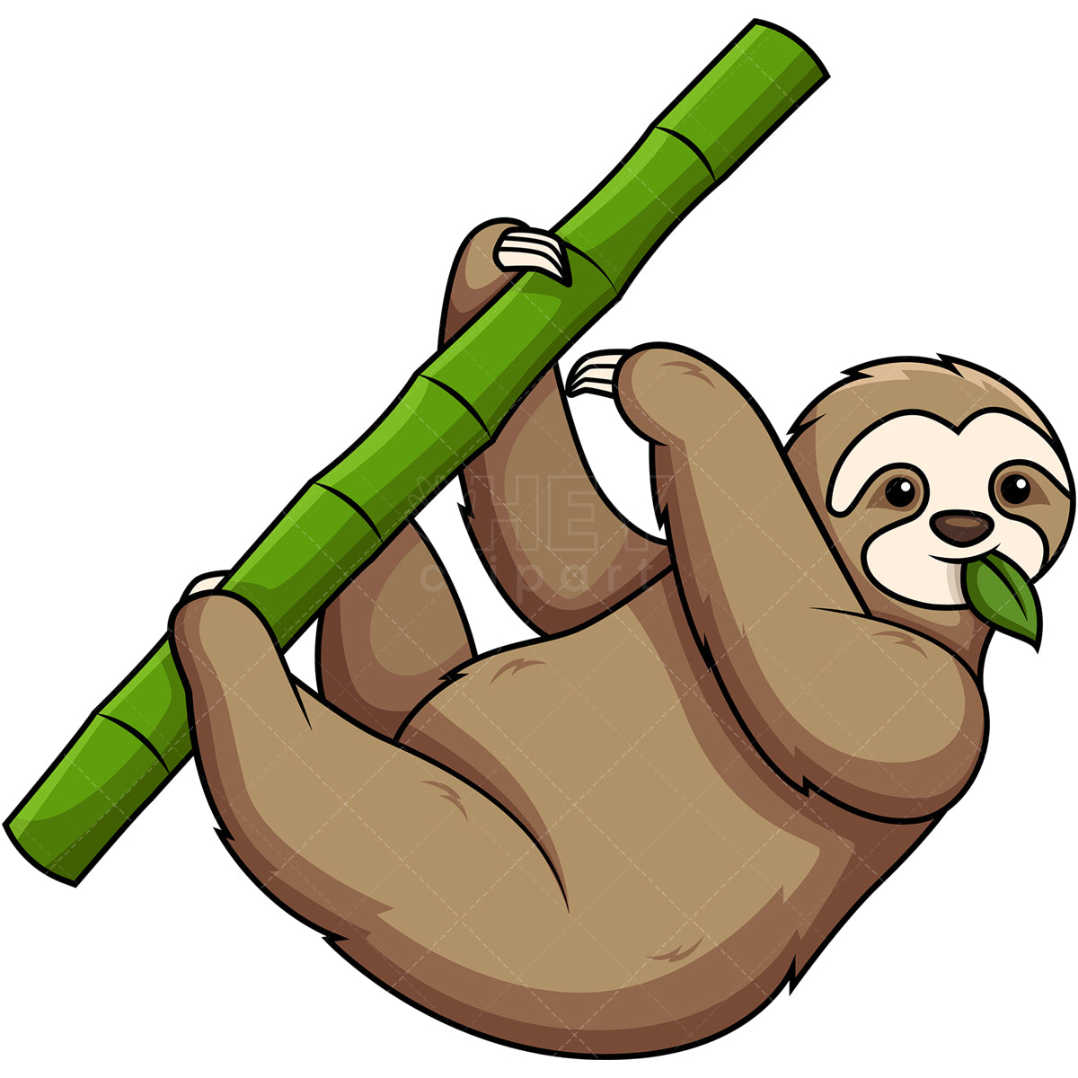 Royalty-free stock vector illustration of a sloth eating leaves.