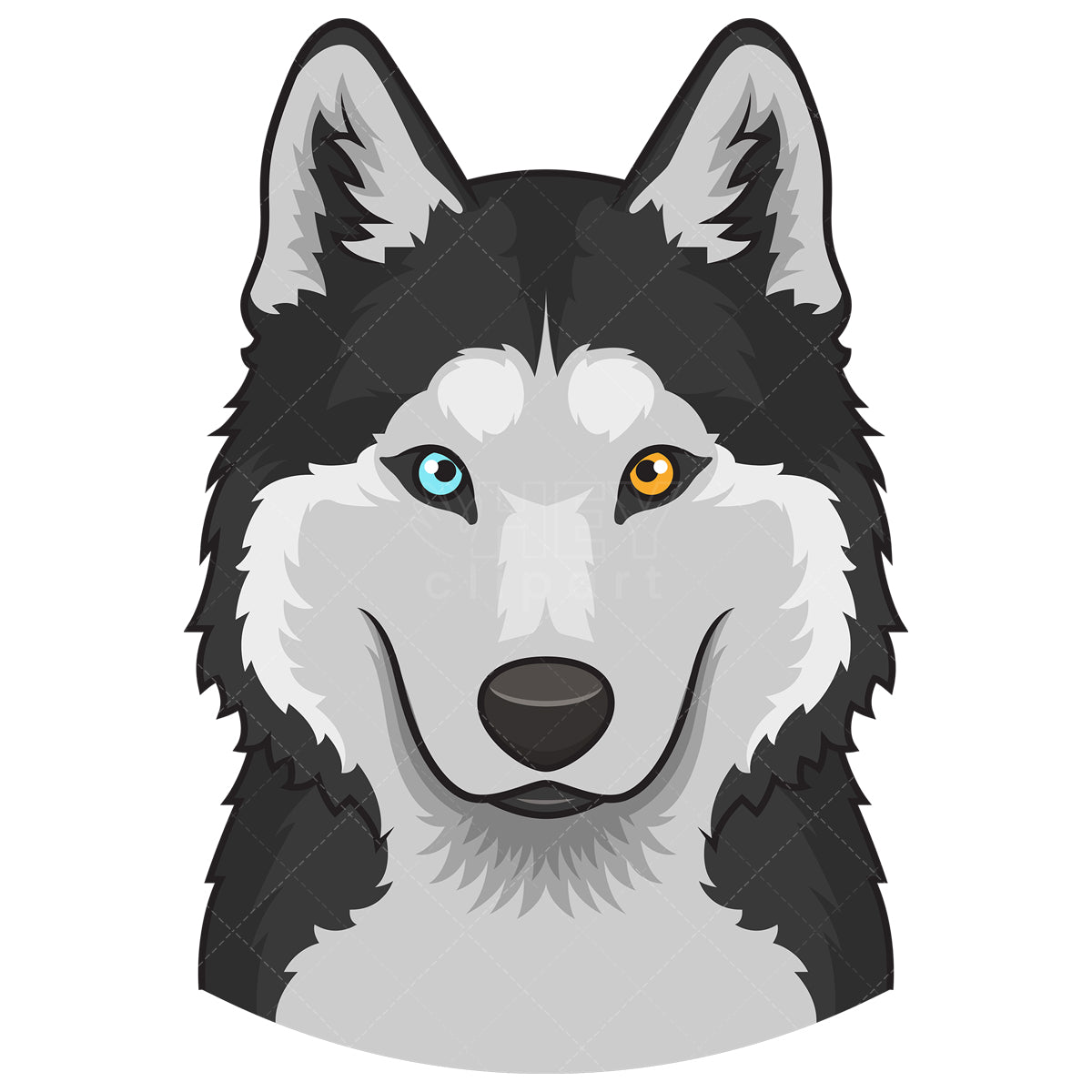 Royalty-free stock vector illustration of a siberian husky face.