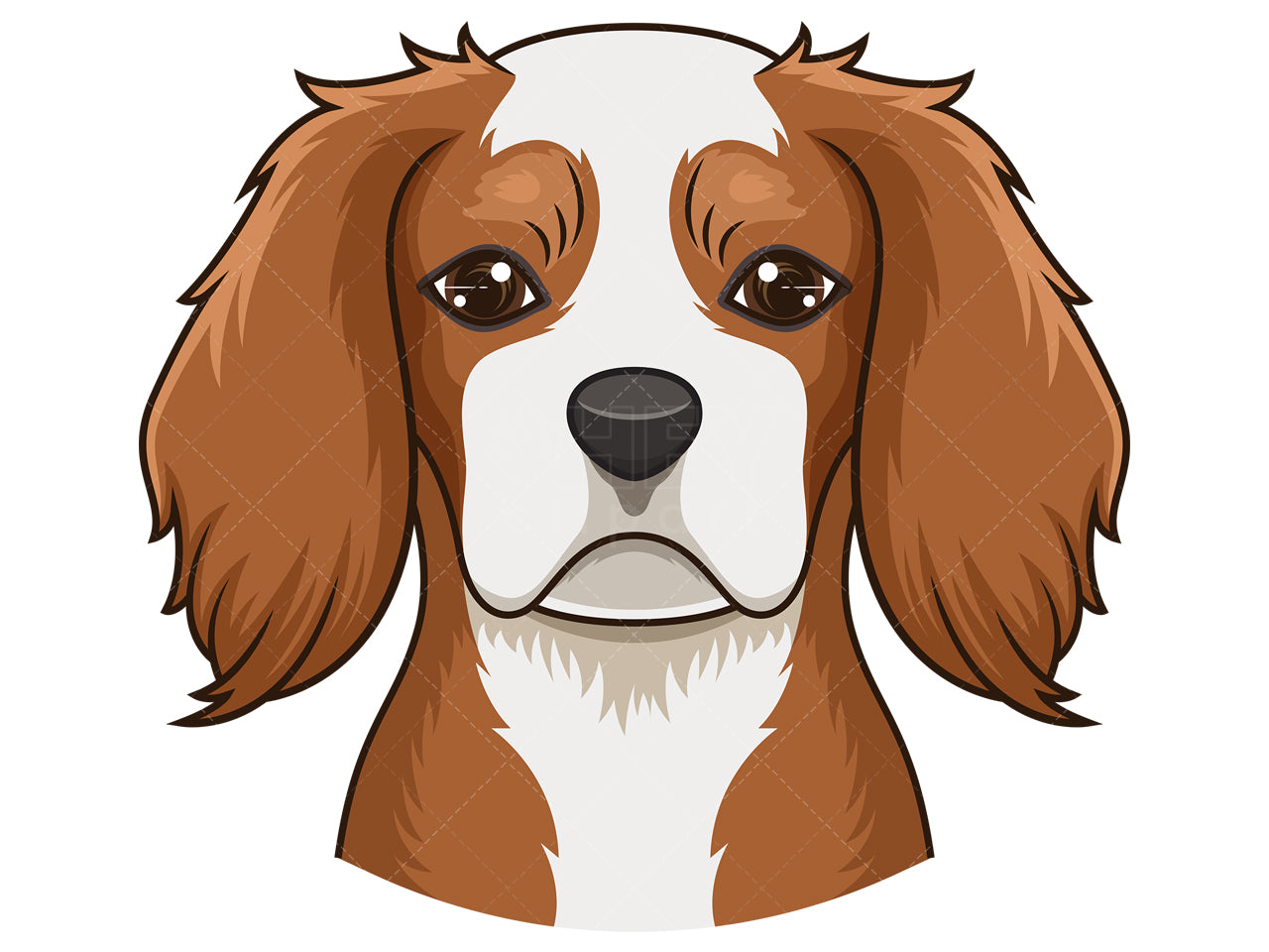 Royalty-free stock vector illustration of a cavalier king charles spaniel face.