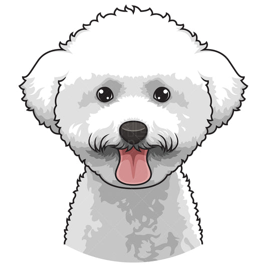 Royalty-free stock vector illustration of a bichon frise face.